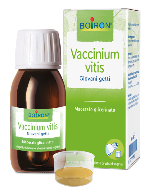 Vaccinium vitis mg 60ml