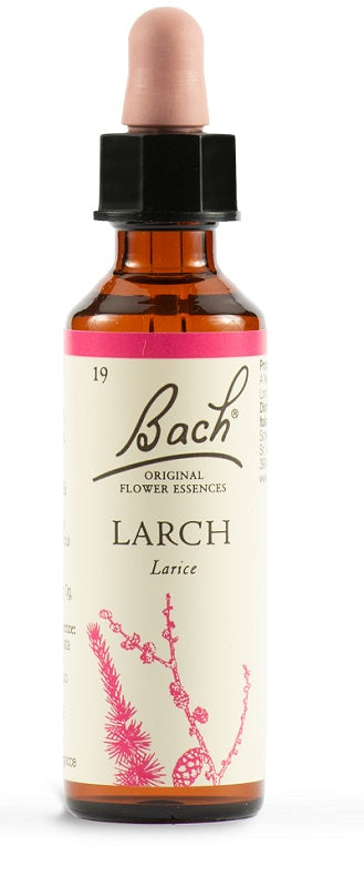 Larch bach orig 20ml