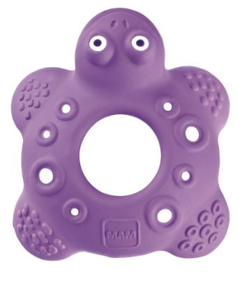 Mam dentaruolo bob the turtle