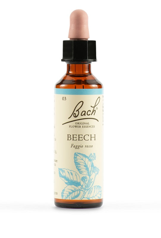 Beech bach orig 20ml