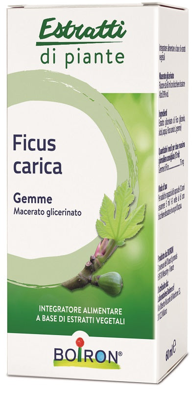 Ficus car estr piante mg 60ml