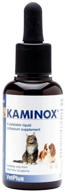 Kaminox sciroppo 60ml