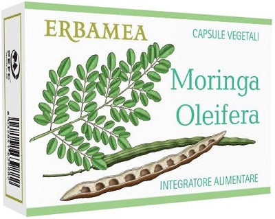 Moringa oleifera 24 capsule