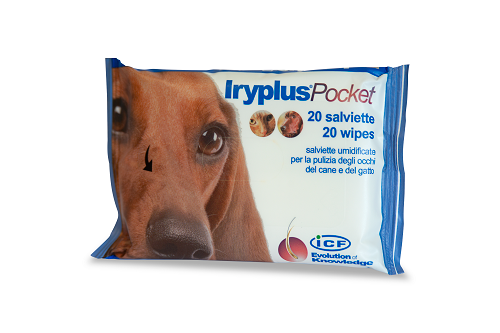 Iryplus pocket salviettine 20p