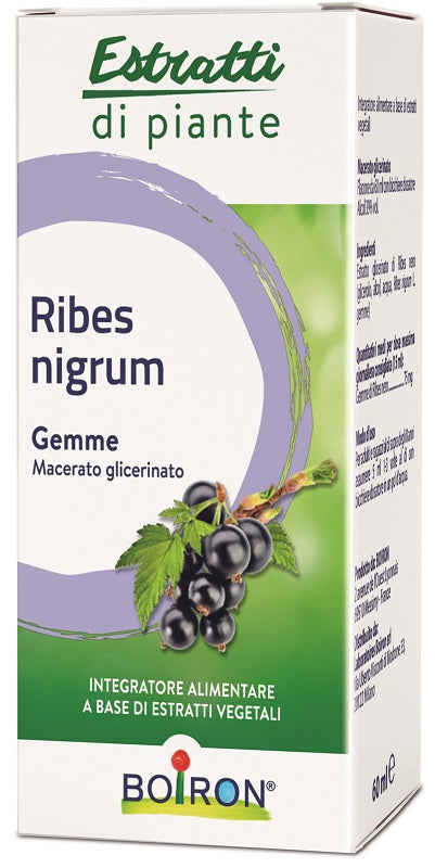 Ribes nigr estr piante mg 60ml