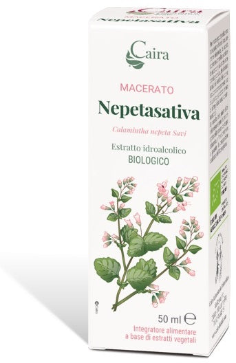 Nepetasativa macerato caira
