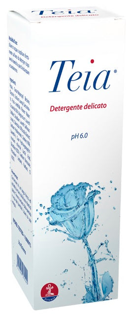 Teia detergente corpo 250ml