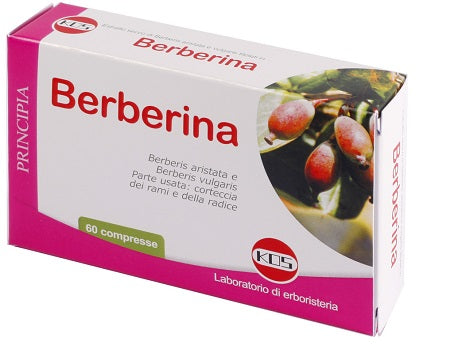 Berberina da berberis vulgaris estratto secco 60 compresse