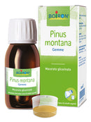 Pinus montana boi mg 60ml int
