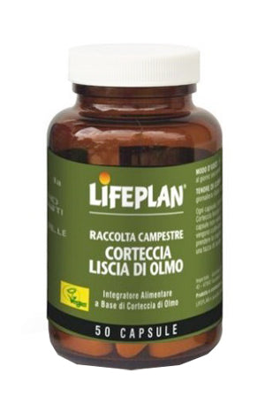 Corteccia liscia di olmo 50cps