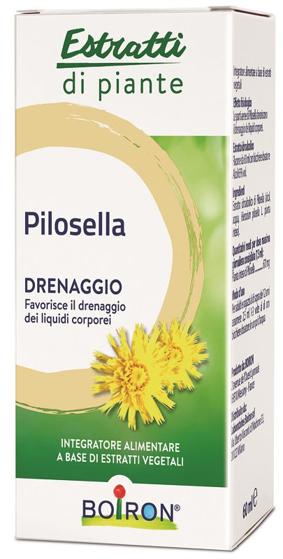 Pilosella estr piante ei 60ml