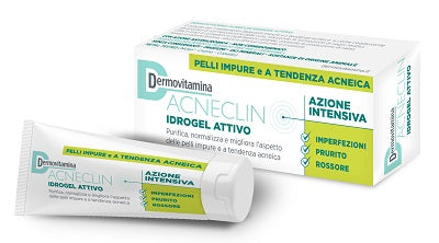 Dermovitamina acneclin idrogel