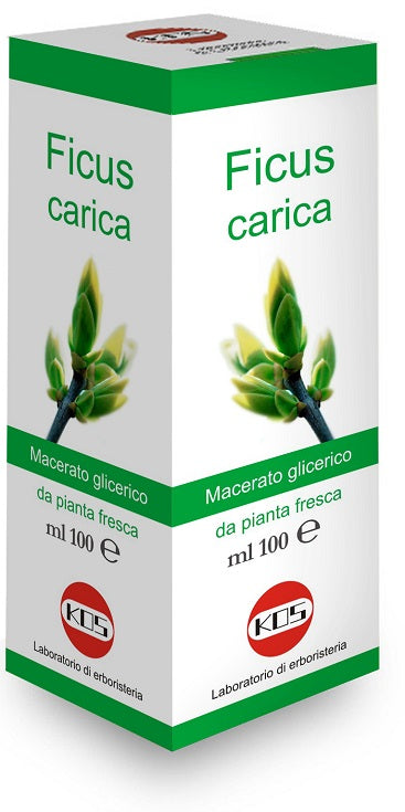 Ficus carica mg 100ml