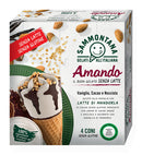 Amando cono van/cac/nocc 4pz