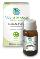 Lavanda ibrida oe 10ml