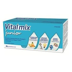 Vitalmix junior 12 flac
