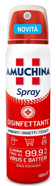 Amuchina spray amb/ogg/tess100ml