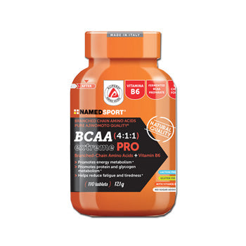 Bcaa 4:1:1 110cpr named<