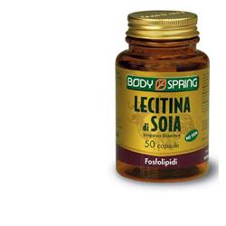 Bs lecitina soja 100 tav