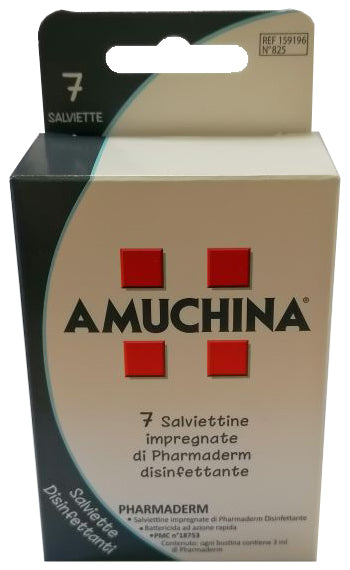 Amuchina-salv disinf