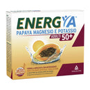 Energya papaya mag pot 50+ 14b
