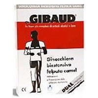 Gibaud ginocch biest felp cam1